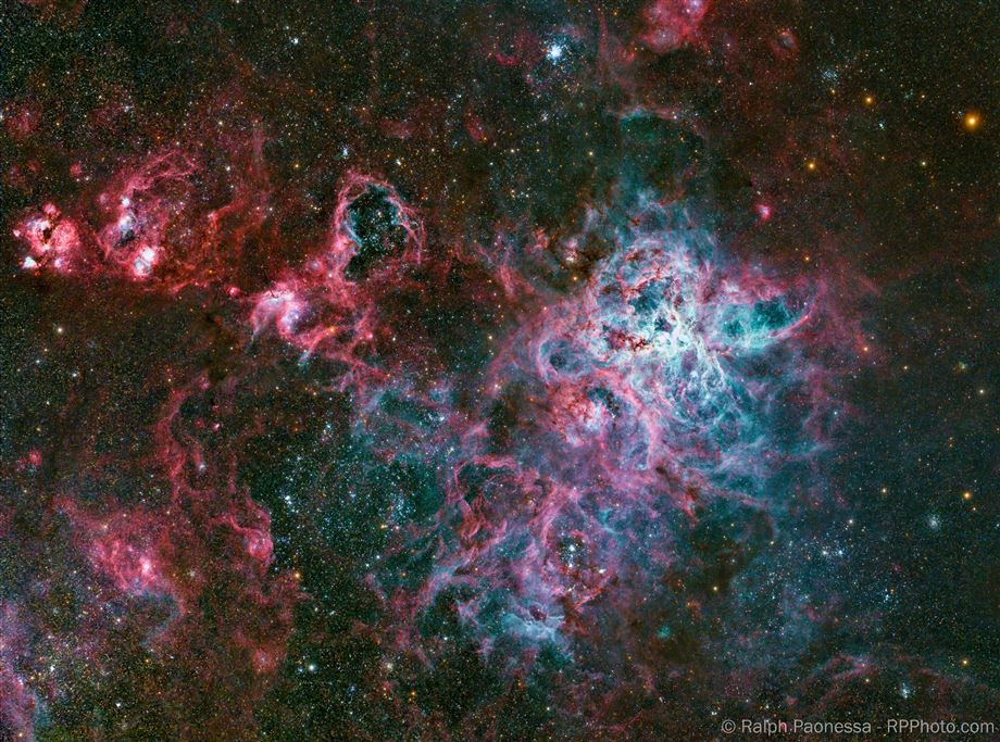 The Tarantula Nebula